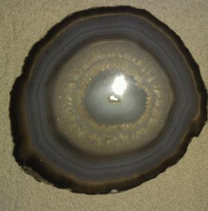 IMAG0673_1.jpg