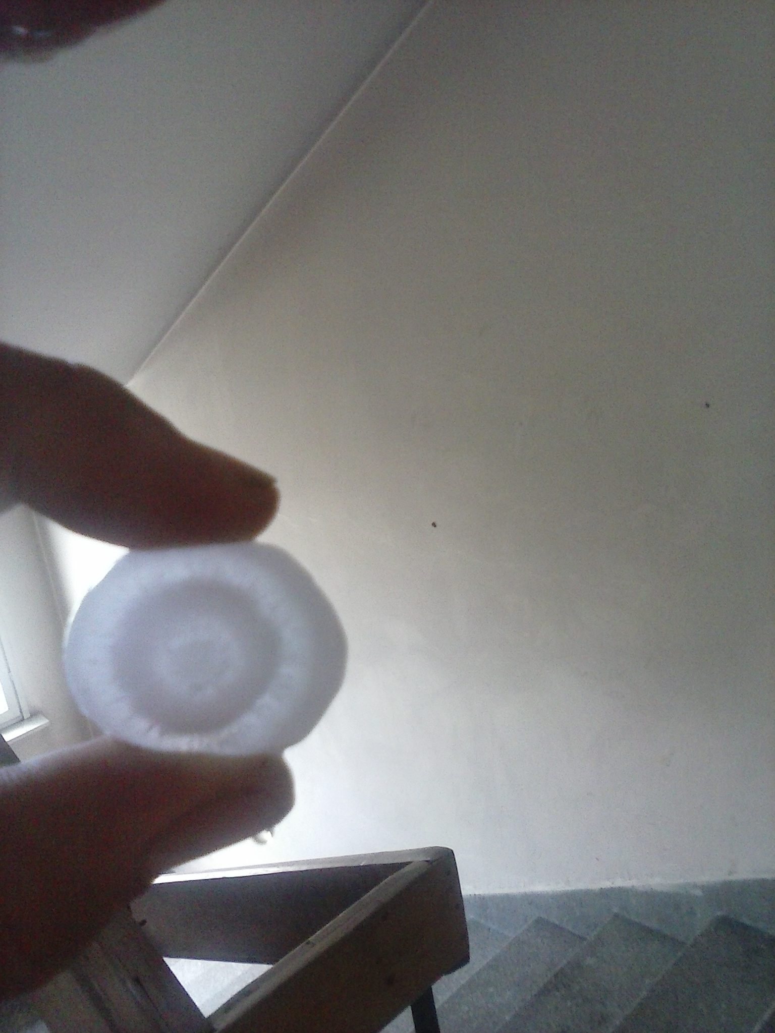 CAM00136.jpg