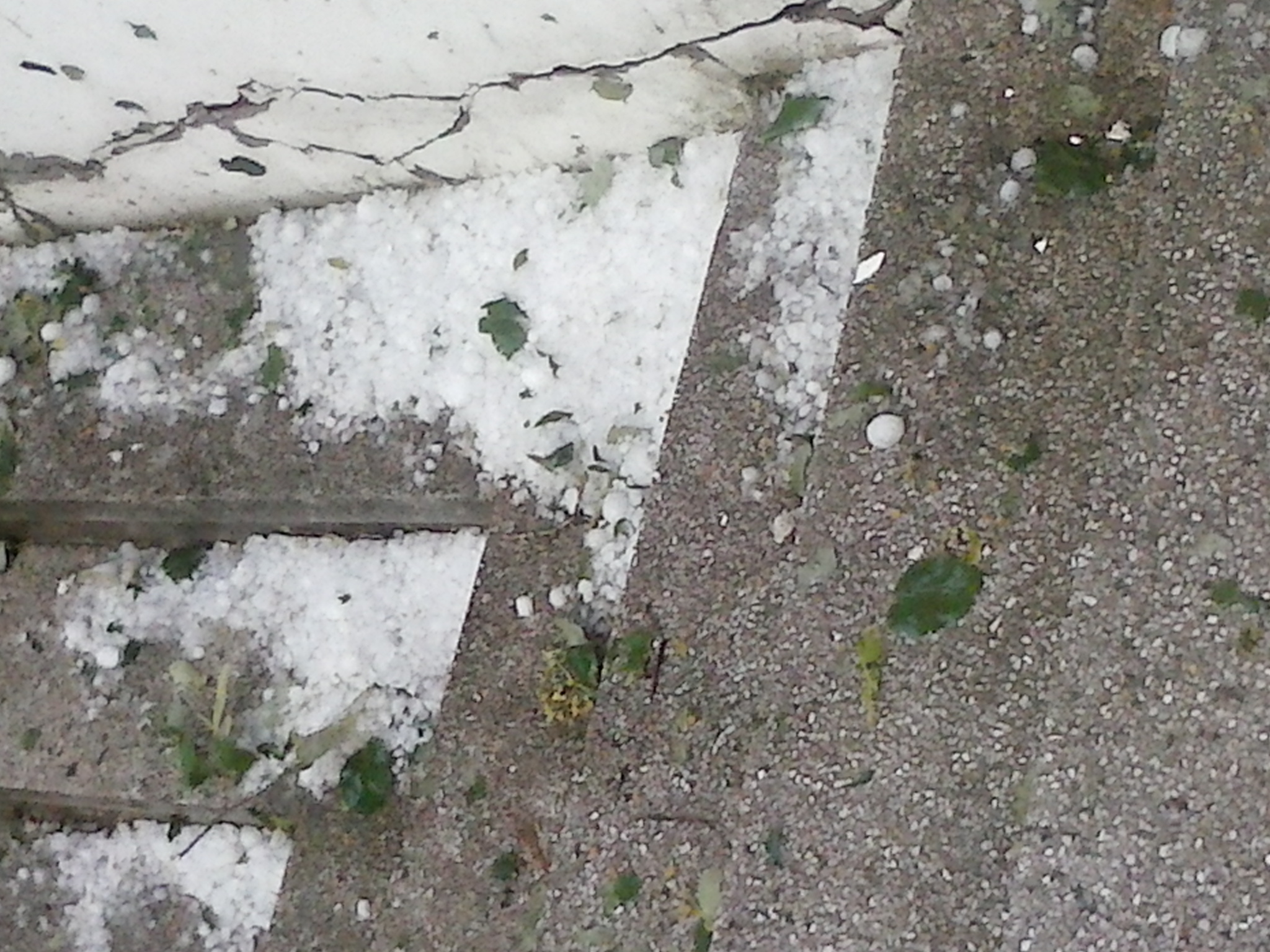 CAM00138.jpg