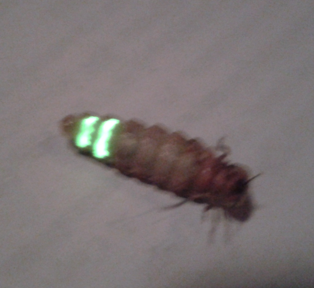 20140713_215616.jpg