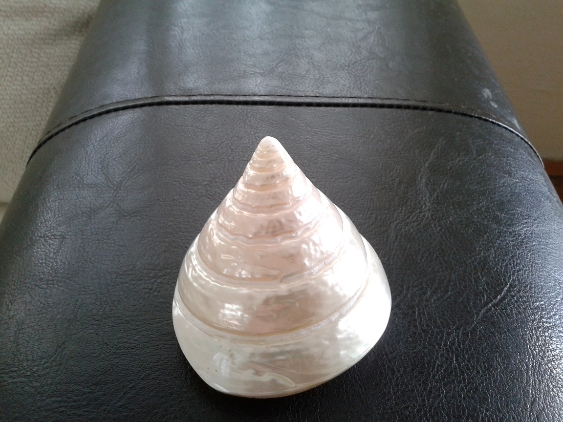 20140922_145017.jpg