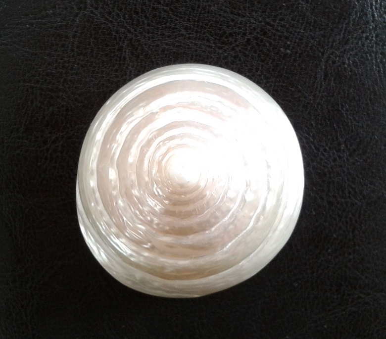 20140922_145028.jpg