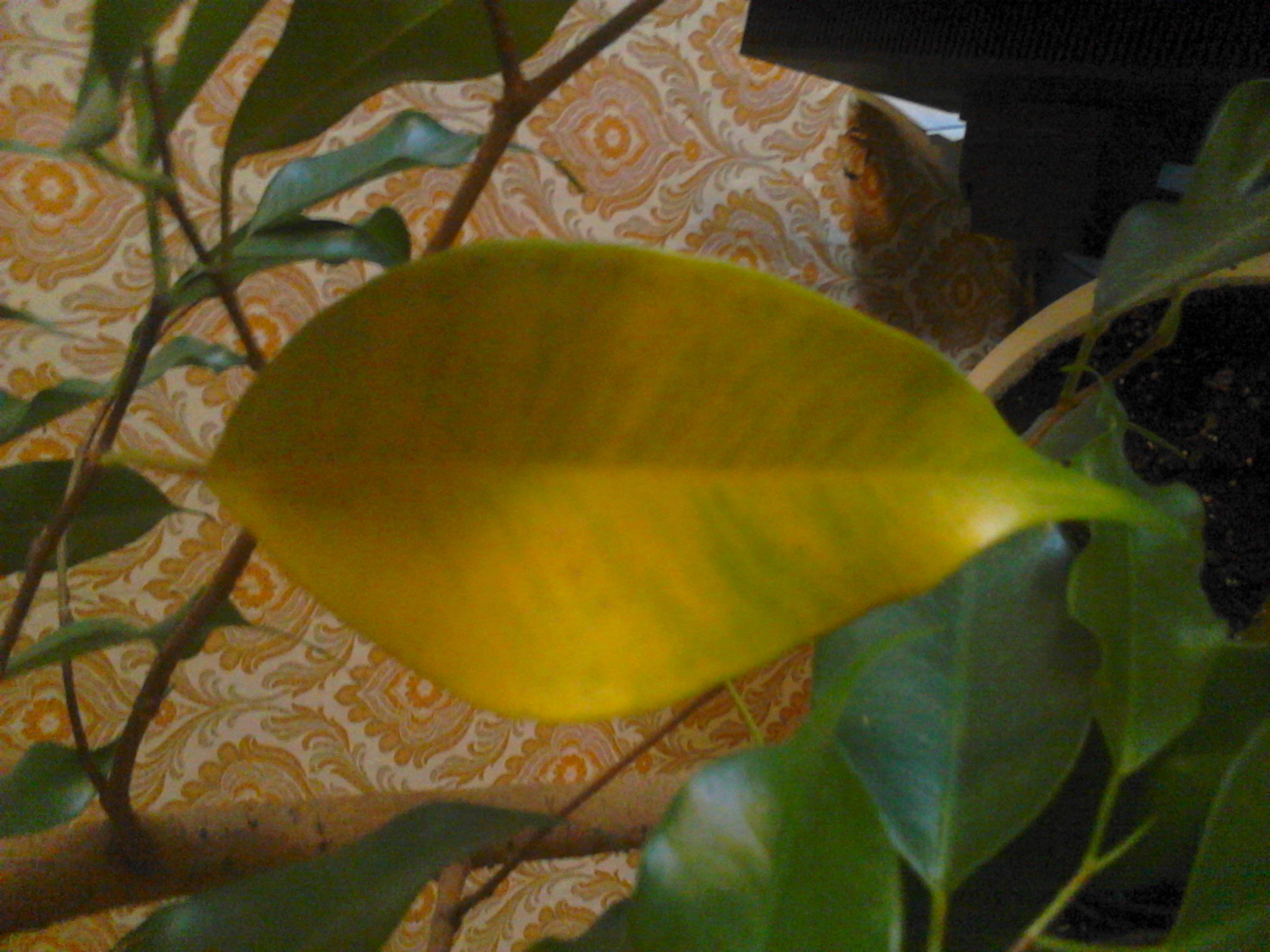 image-900B_54351F77.jpg