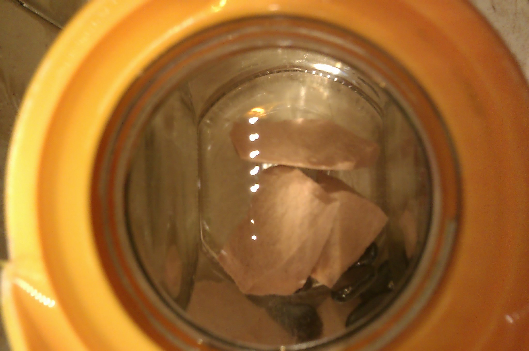 IMAG0093.jpg