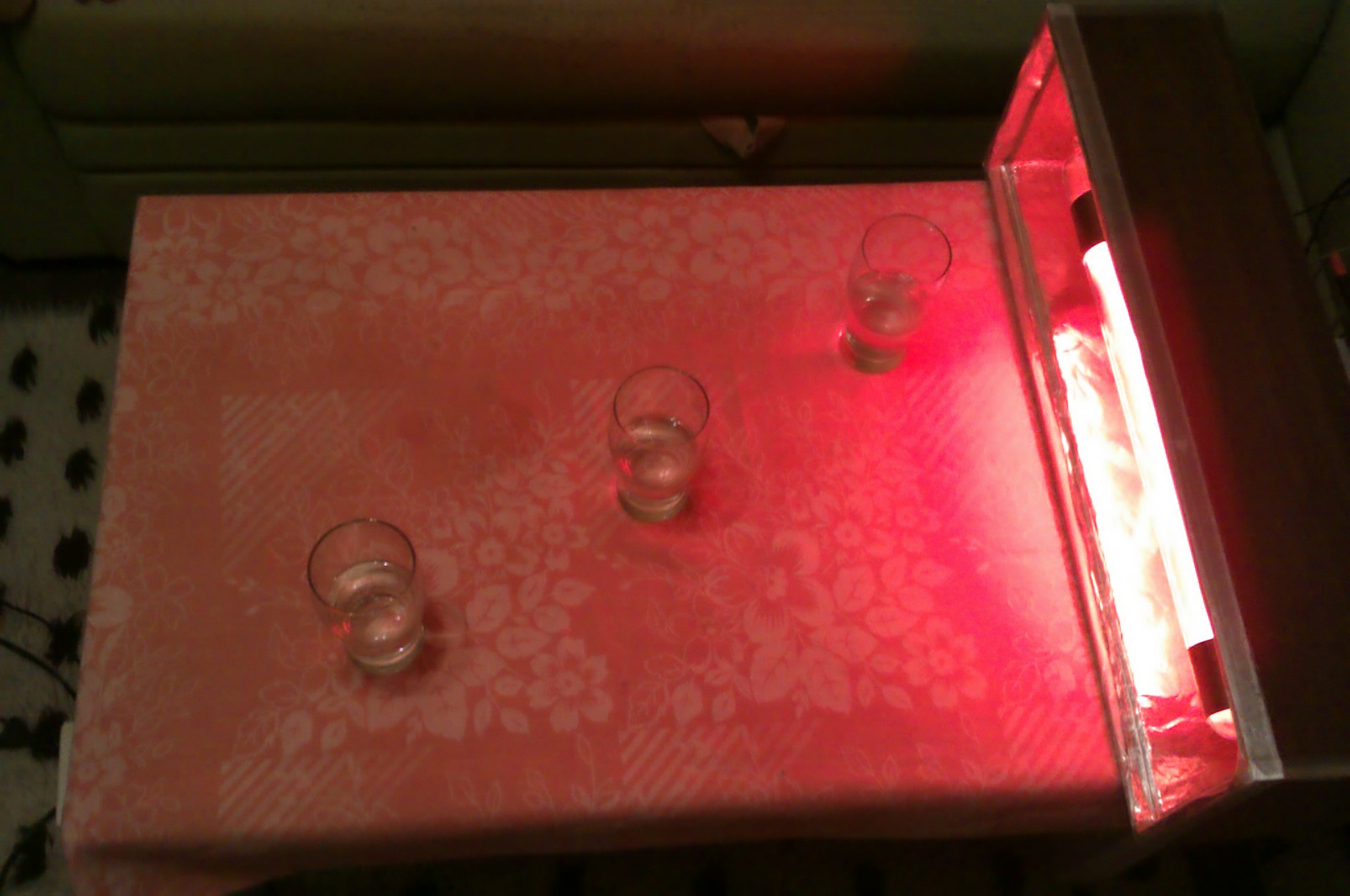 IMAG0218.jpg