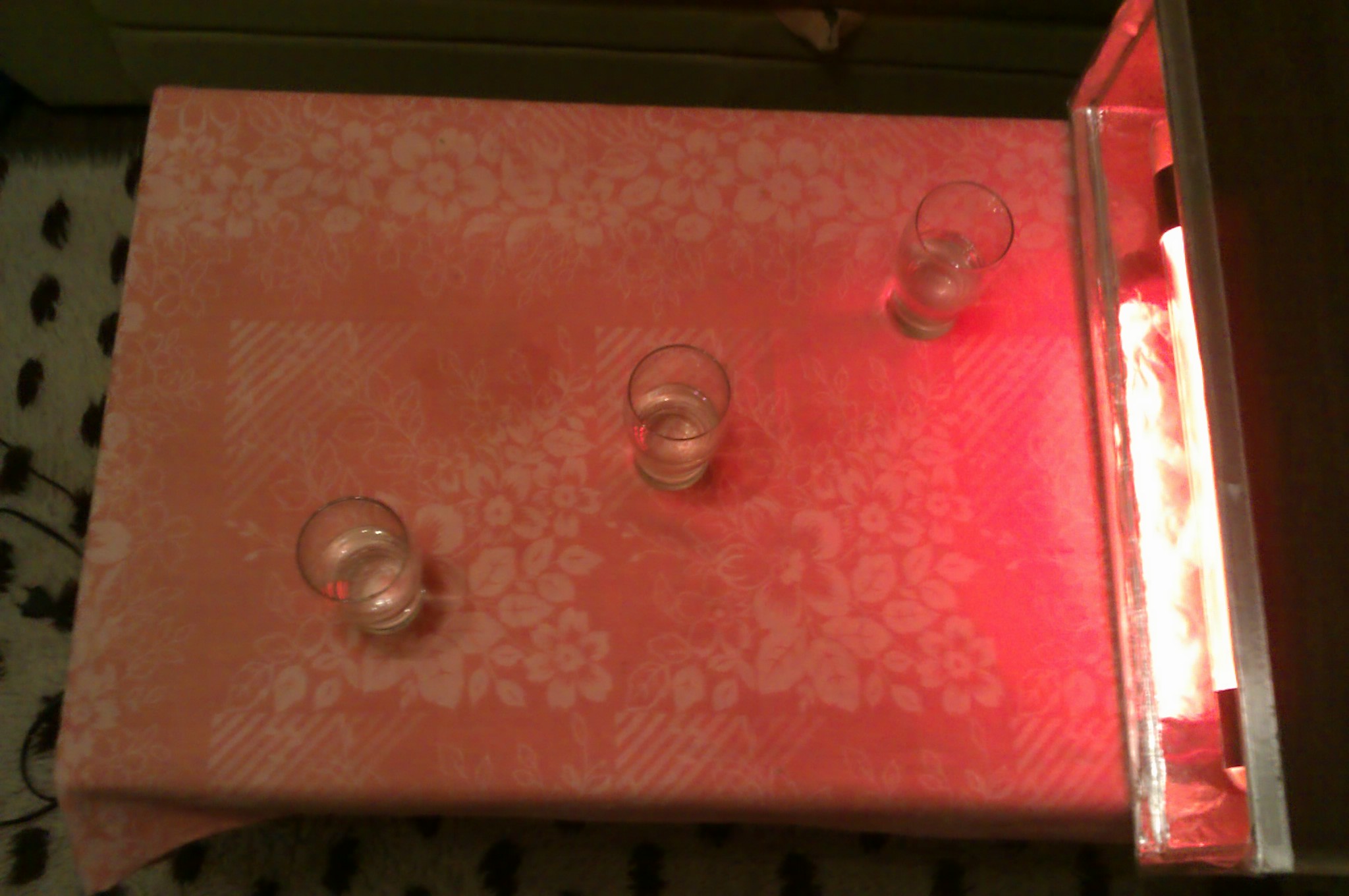 IMAG0219.jpg
